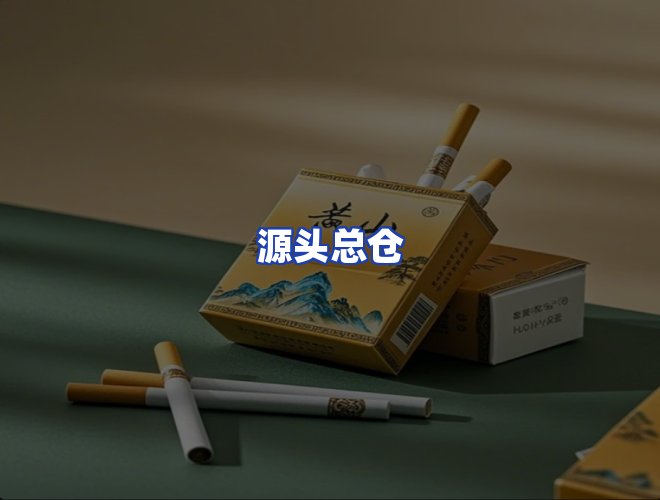 专业团队